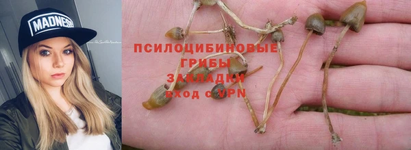 мяу мяу мука Нязепетровск