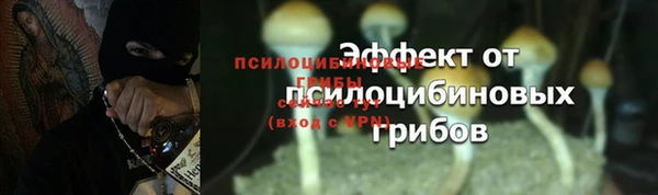 дурь Алексеевка