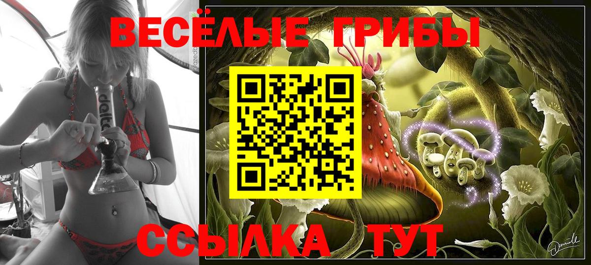 Псилоцибиновые грибы Psilocybine cubensis Сухой Лог